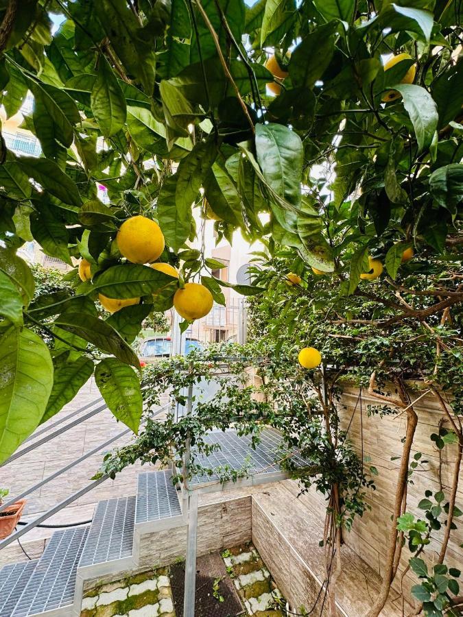סן ג'יורג'יו א קרמאנו Ferdirisa Vesuvio Home&Garden מראה חיצוני תמונה